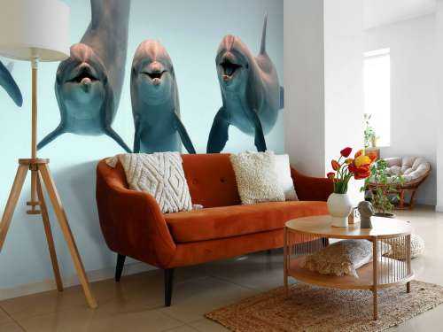 Dauphins rieurs