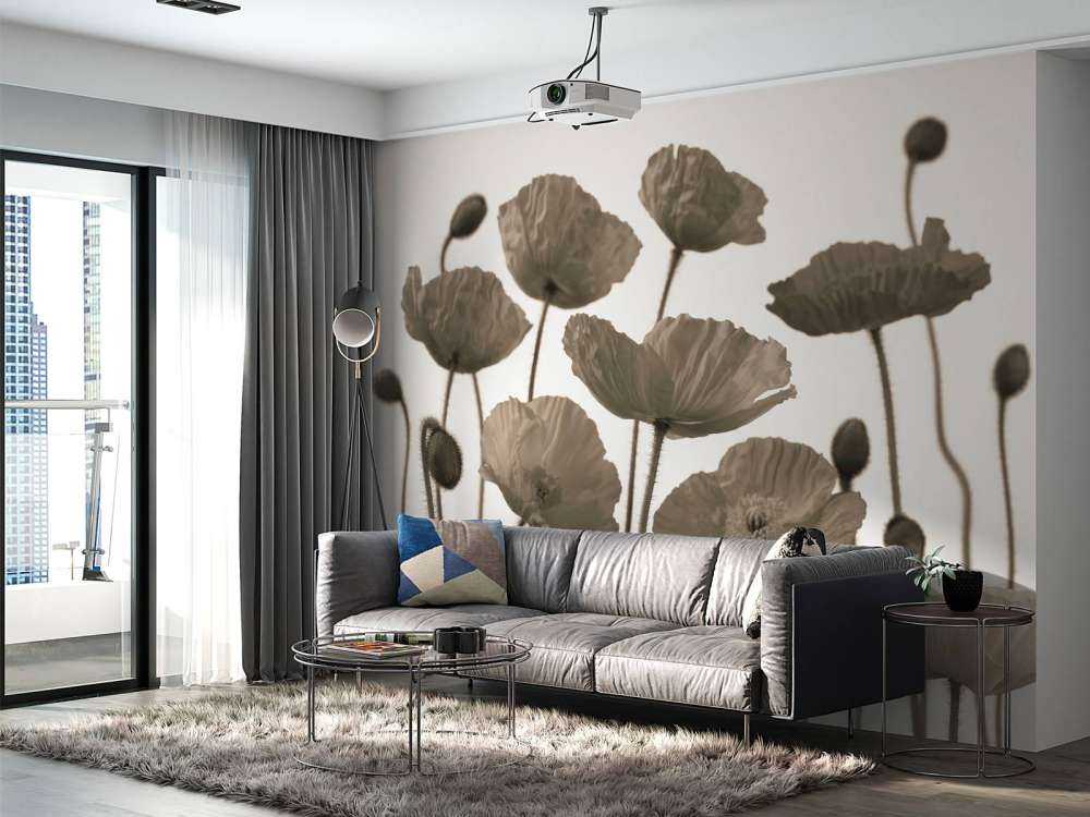 Coquelicots sombres