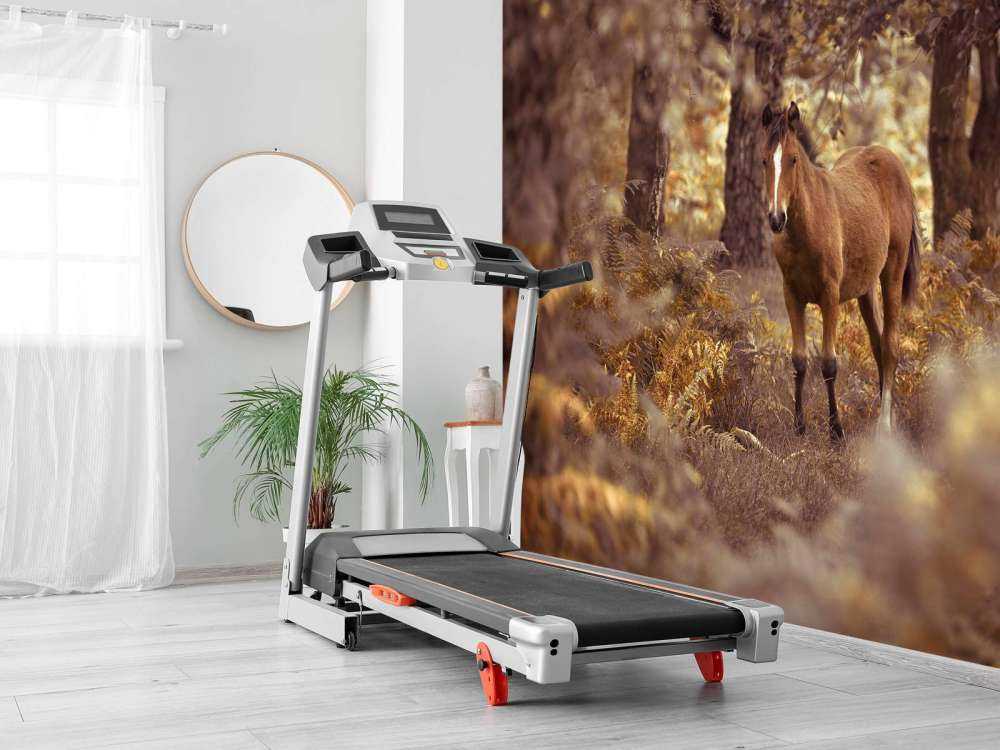 Cheval dans le désert