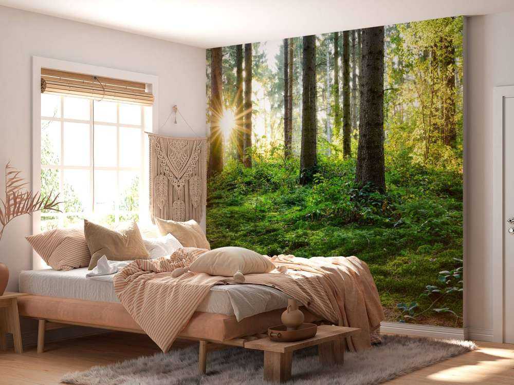 Panorama de la forêt au printemps
