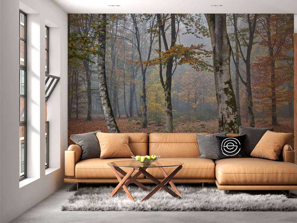 Forêt de bouleaux en automne