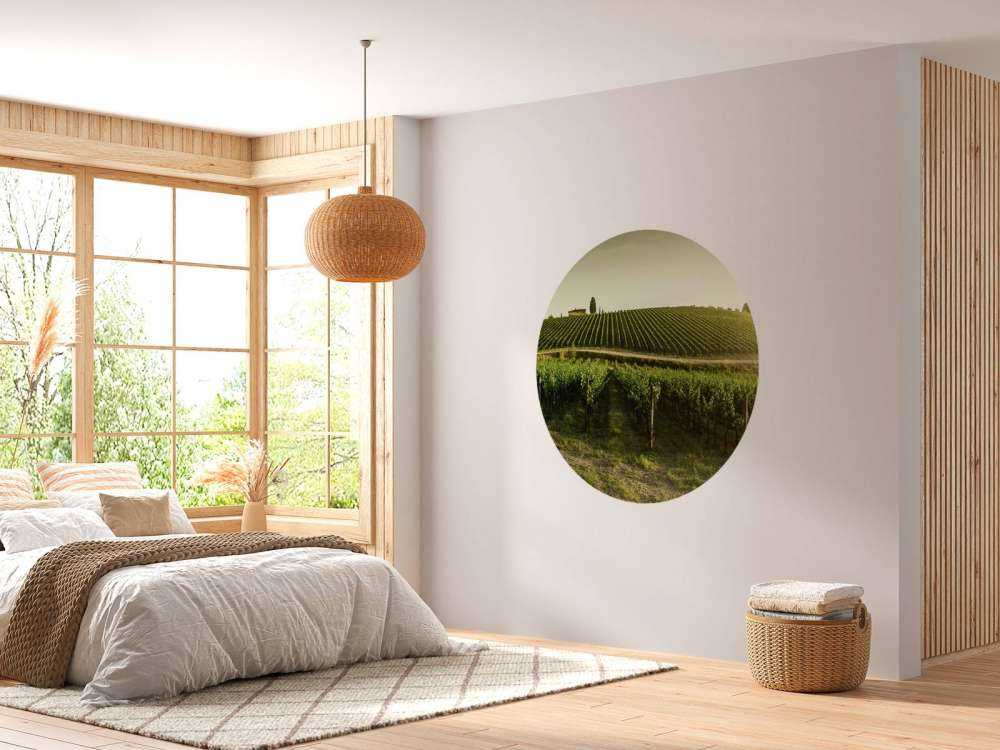 vignoble toscan