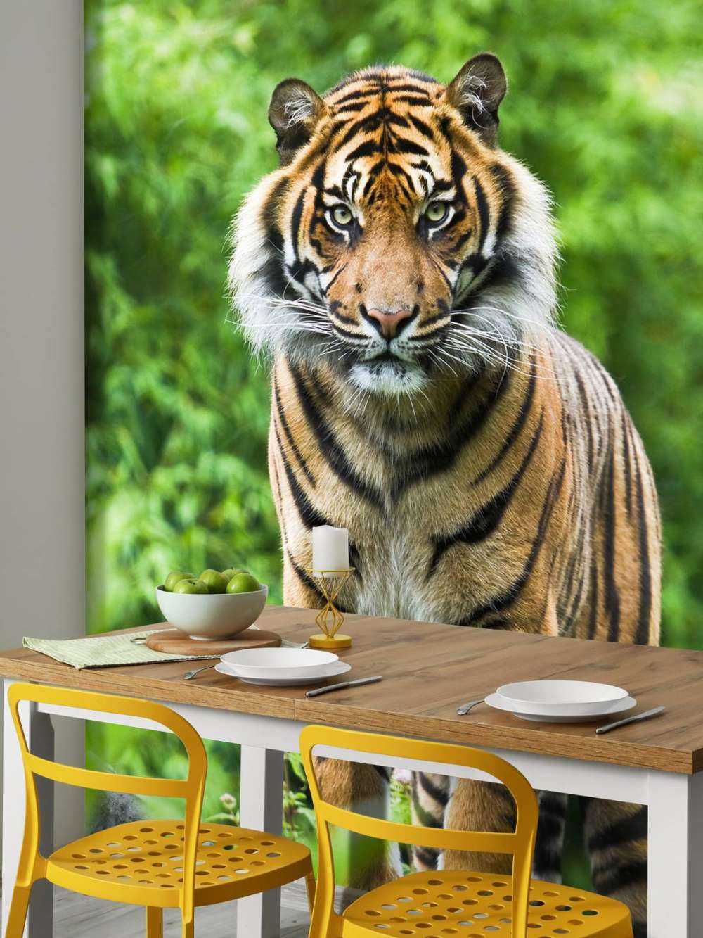 Tigre debout sur une pierre