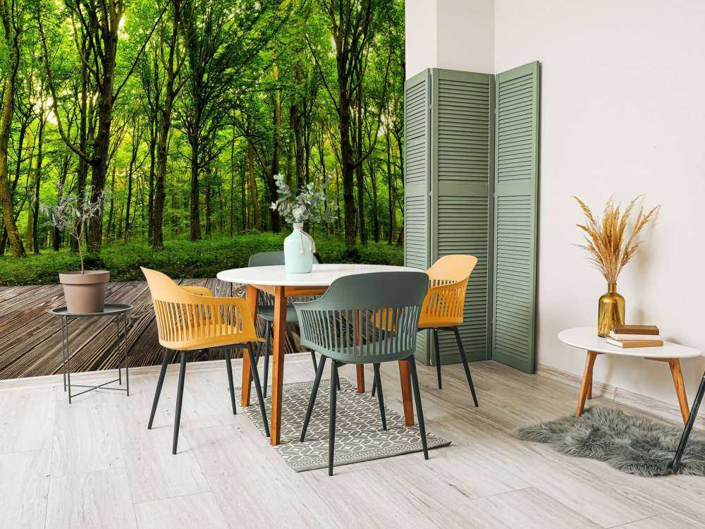 Forêt luxuriante