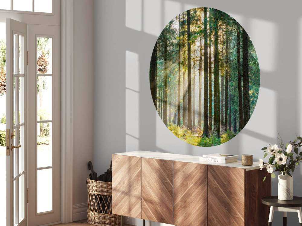 Une forêt tranquille