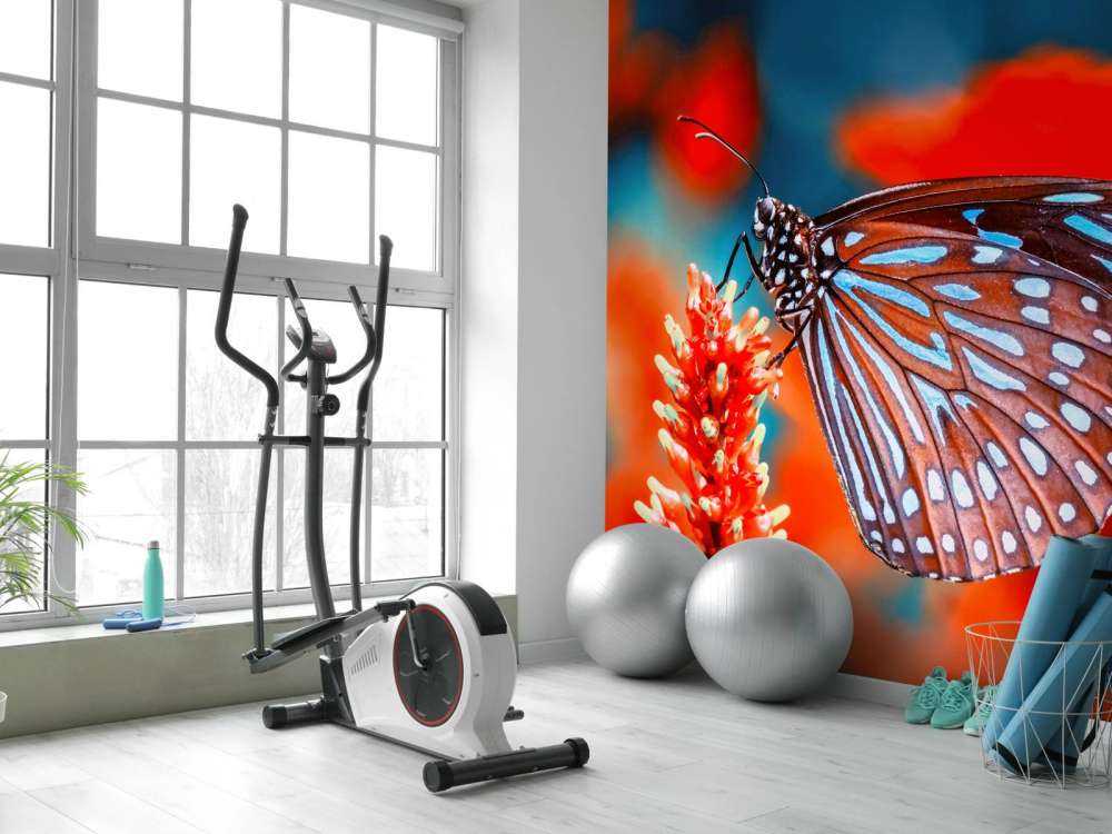 Papillon rouge