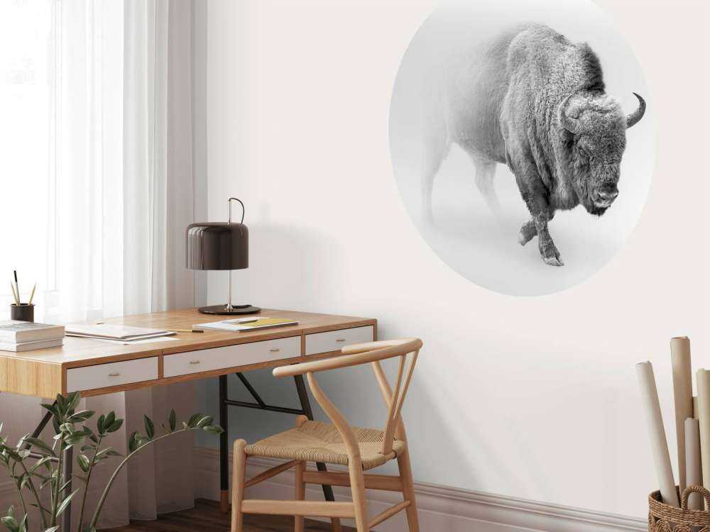 Bison noir et blanc