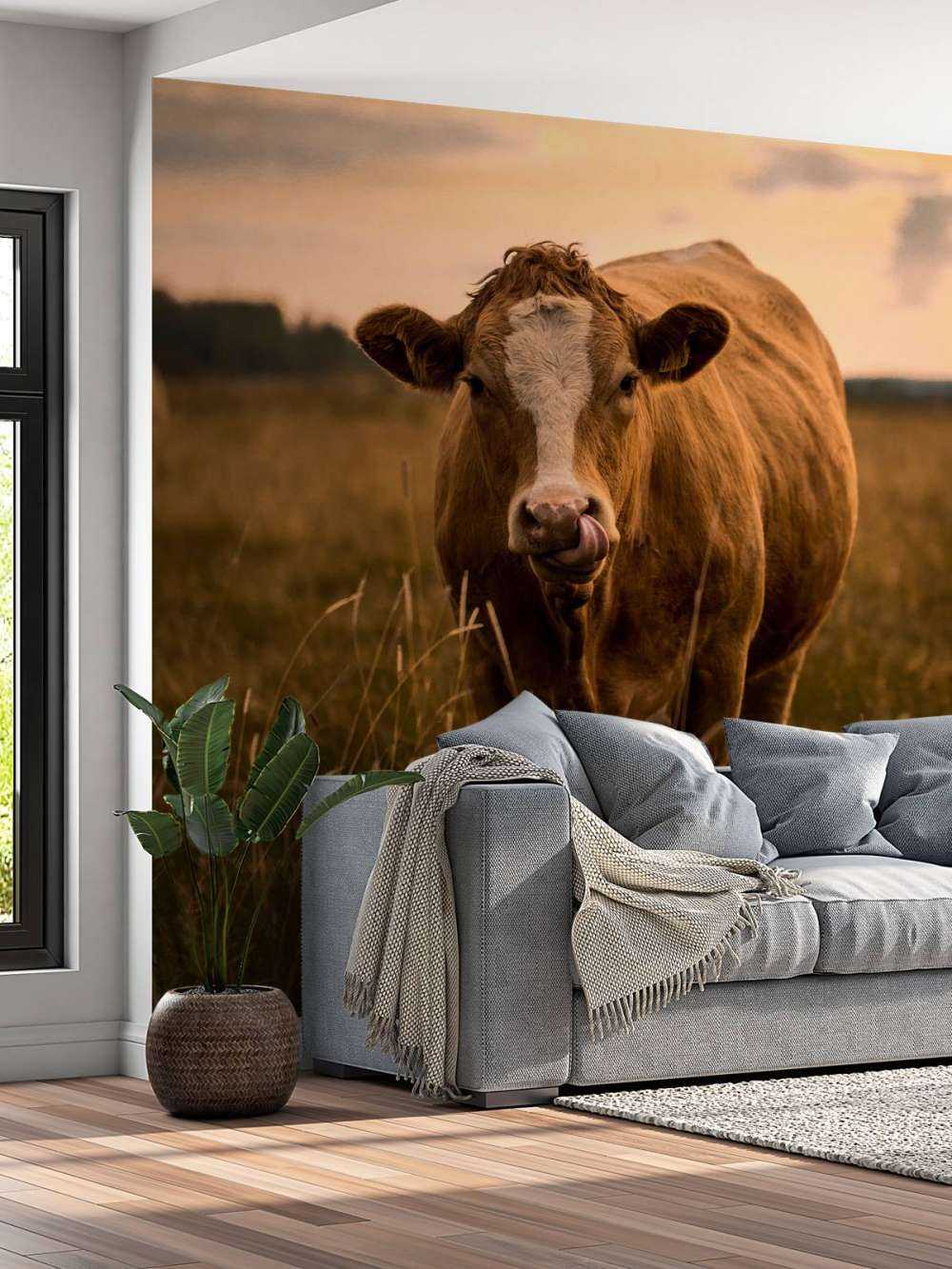 Vache avec la langue dans le nez