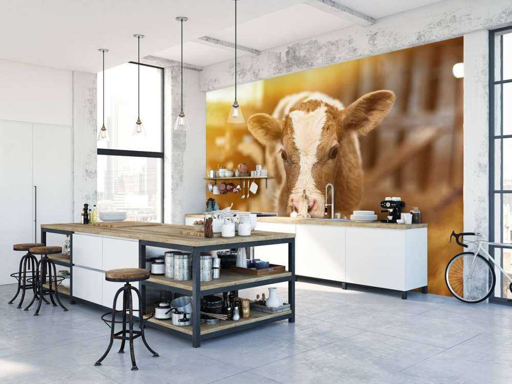 Veau