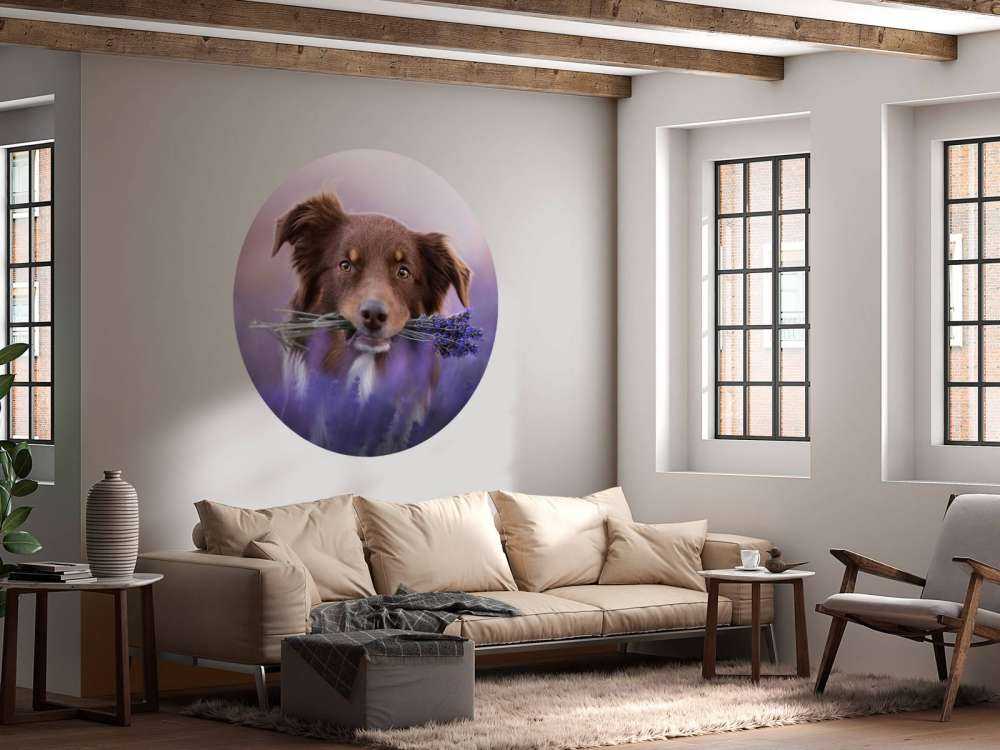 Chien à la lavande