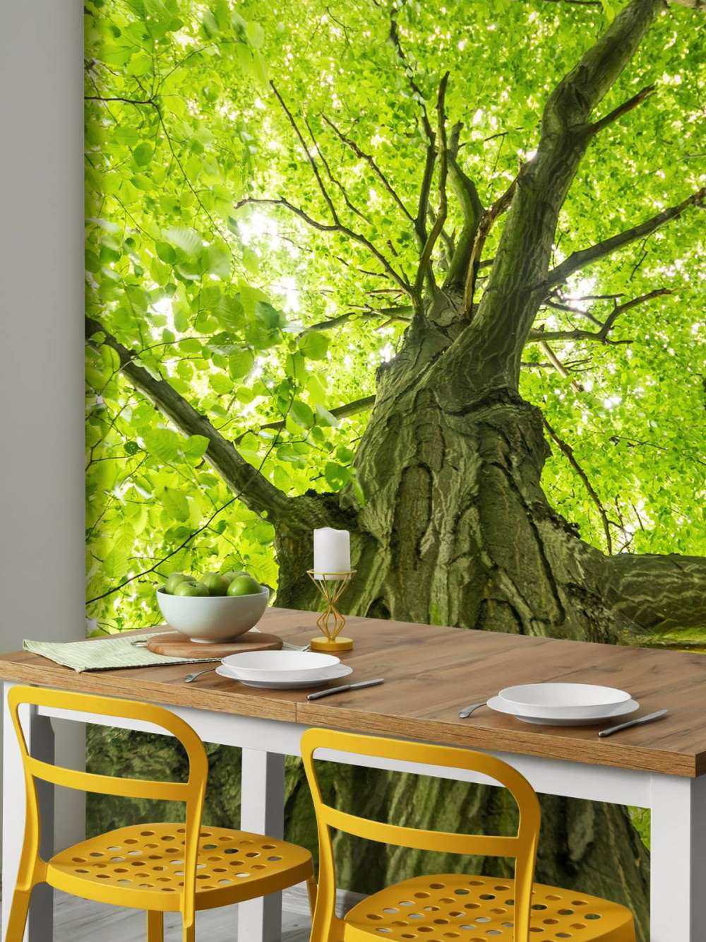 Grand arbre dans la forêt