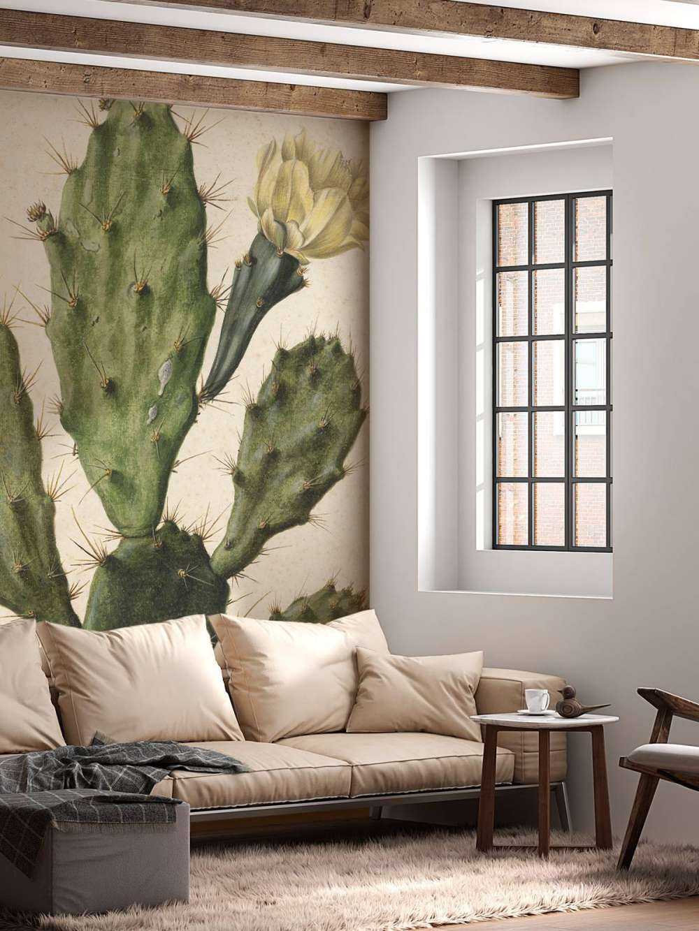 Cactus figuier à fleurs