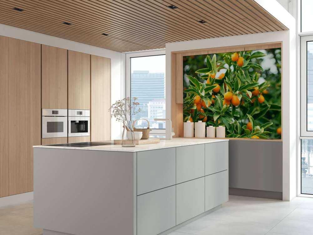 Arbre fruitier