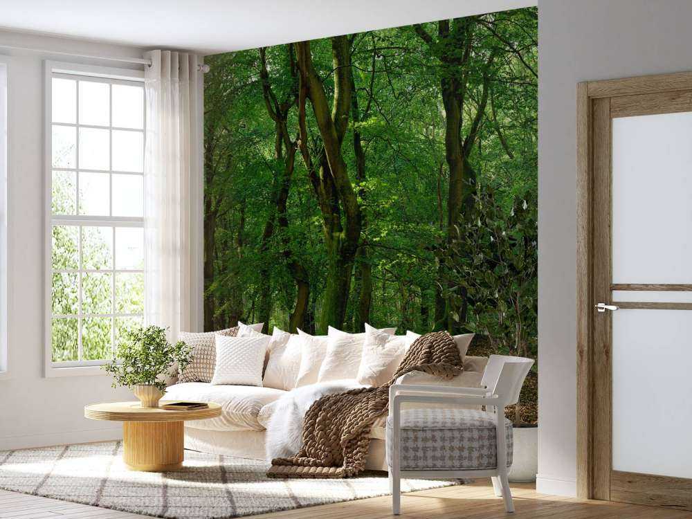 Arbres à feuilles vertes