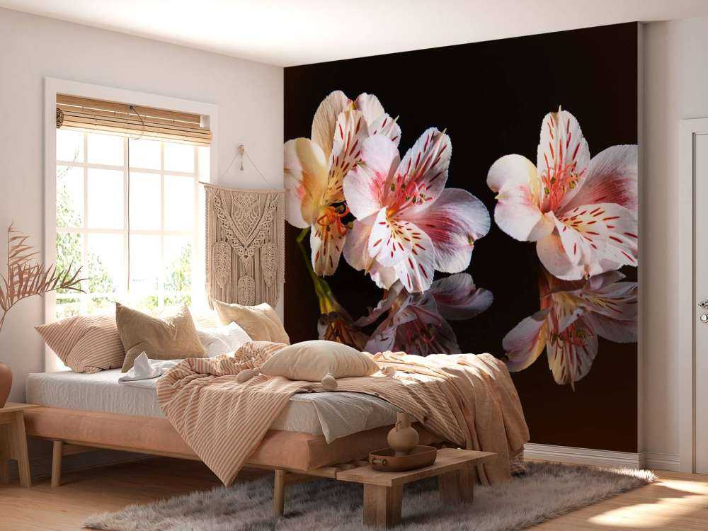 Fleurs d'alstroémère avec reflet