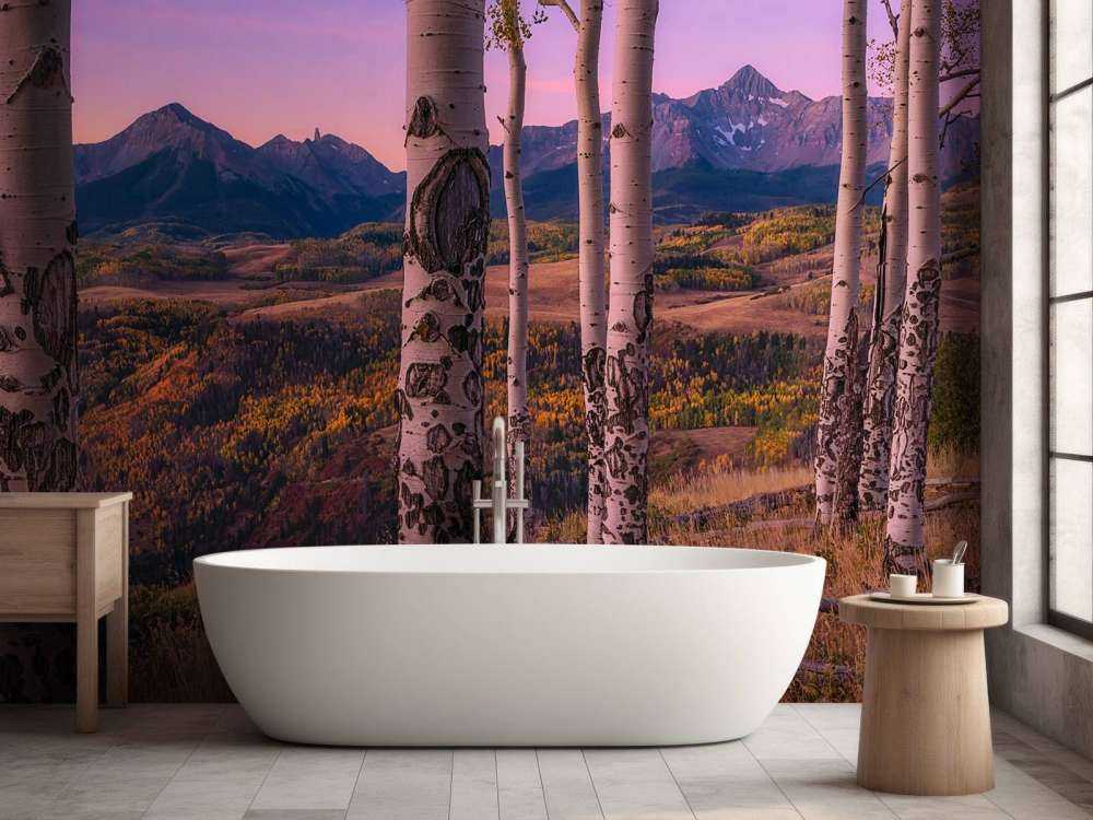 Aspen Frames