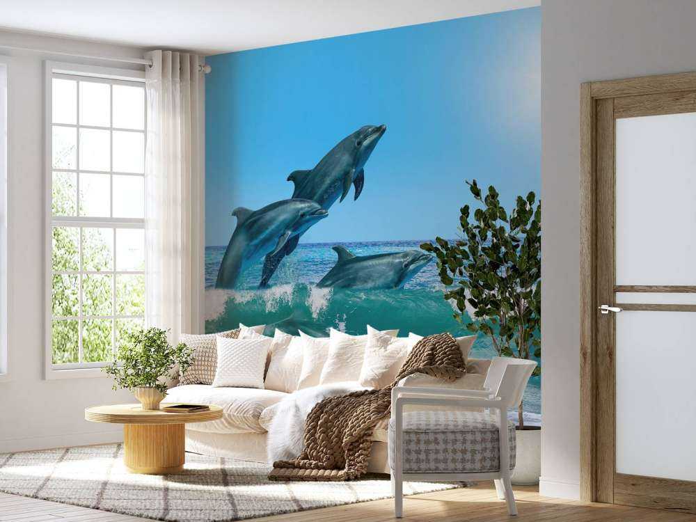 Dauphins sur la côte