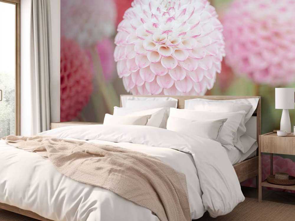 Rose fleurs de dahlia
