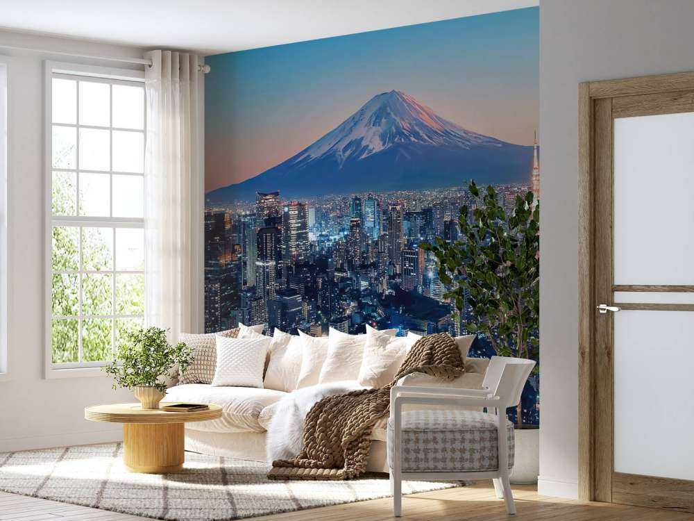 Tokyo au coucher du soleil