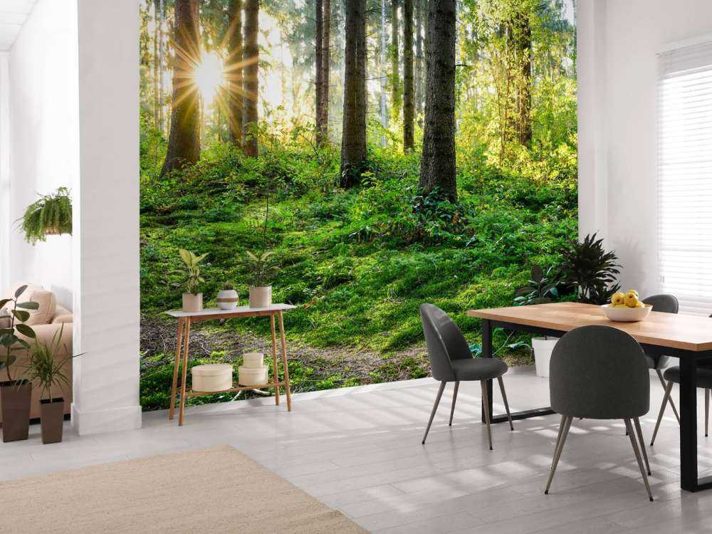 Panorama de la forêt au printemps