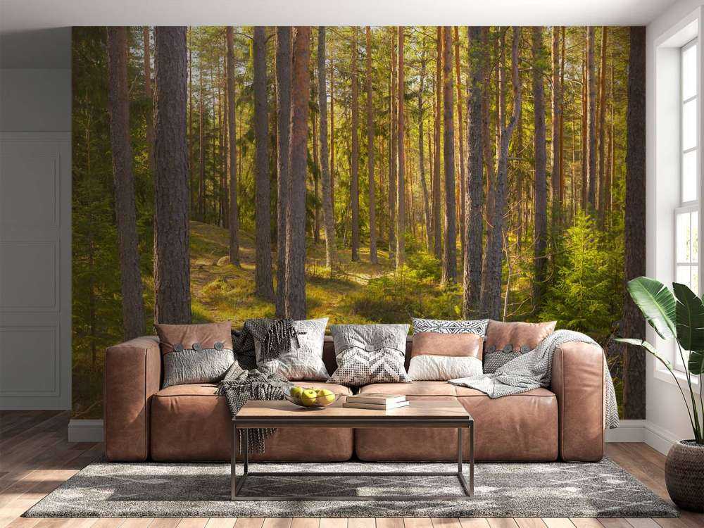 Forêt en été