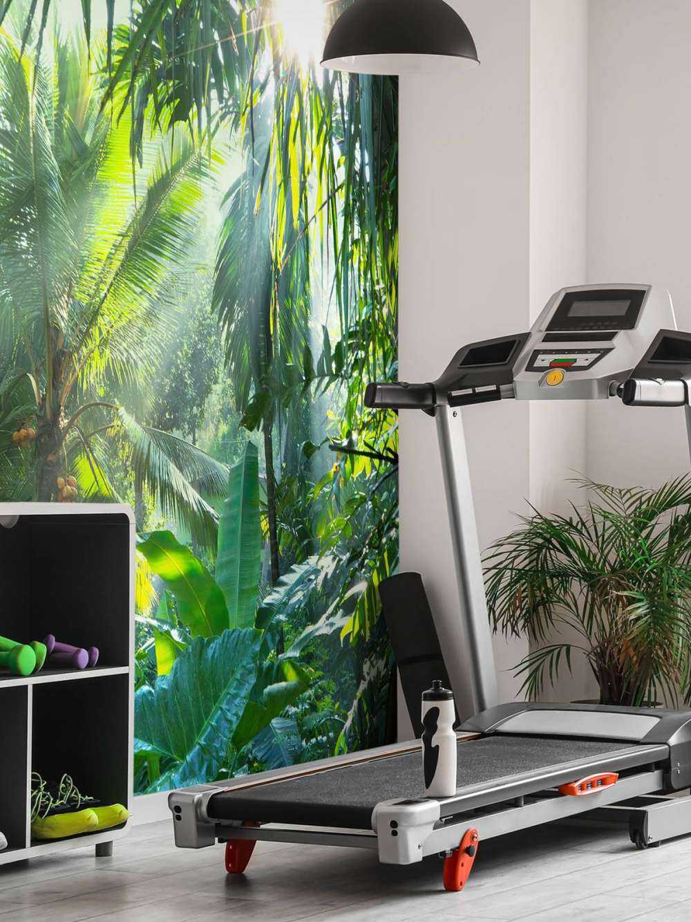 Dans la forêt tropicale