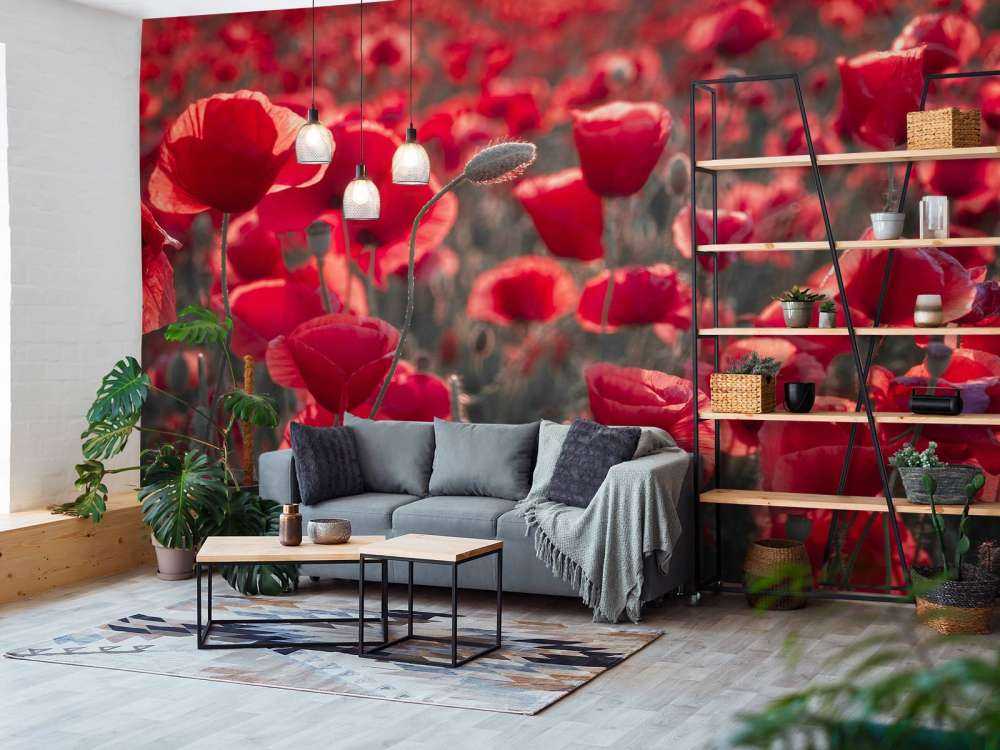 Des coquelicots dans un style sombre