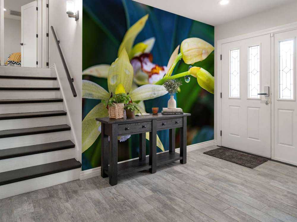 Orchidée jaune sauvage