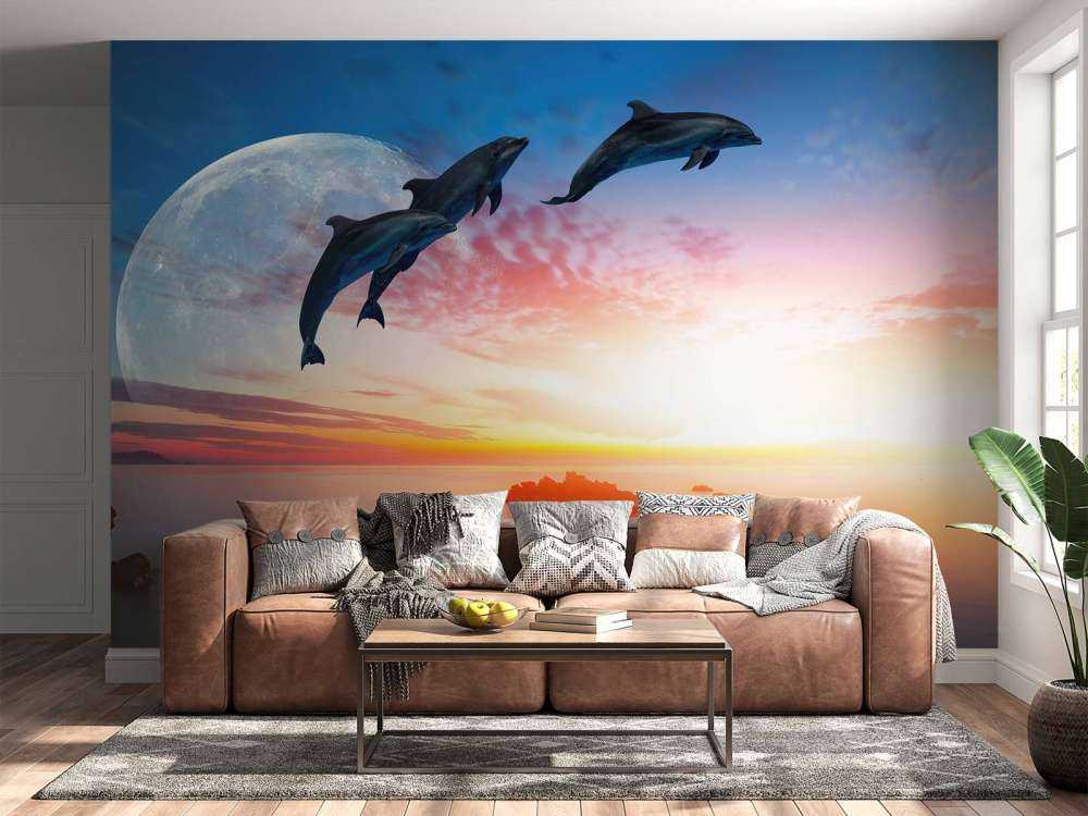 Les dauphins en pleine nuit