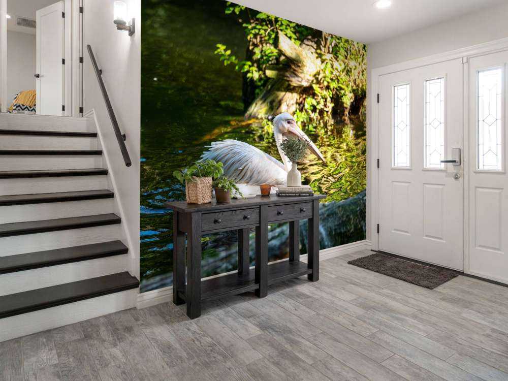 Pélican sur la rivière