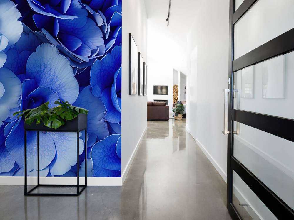 Gros plan sur des hortensias bleus