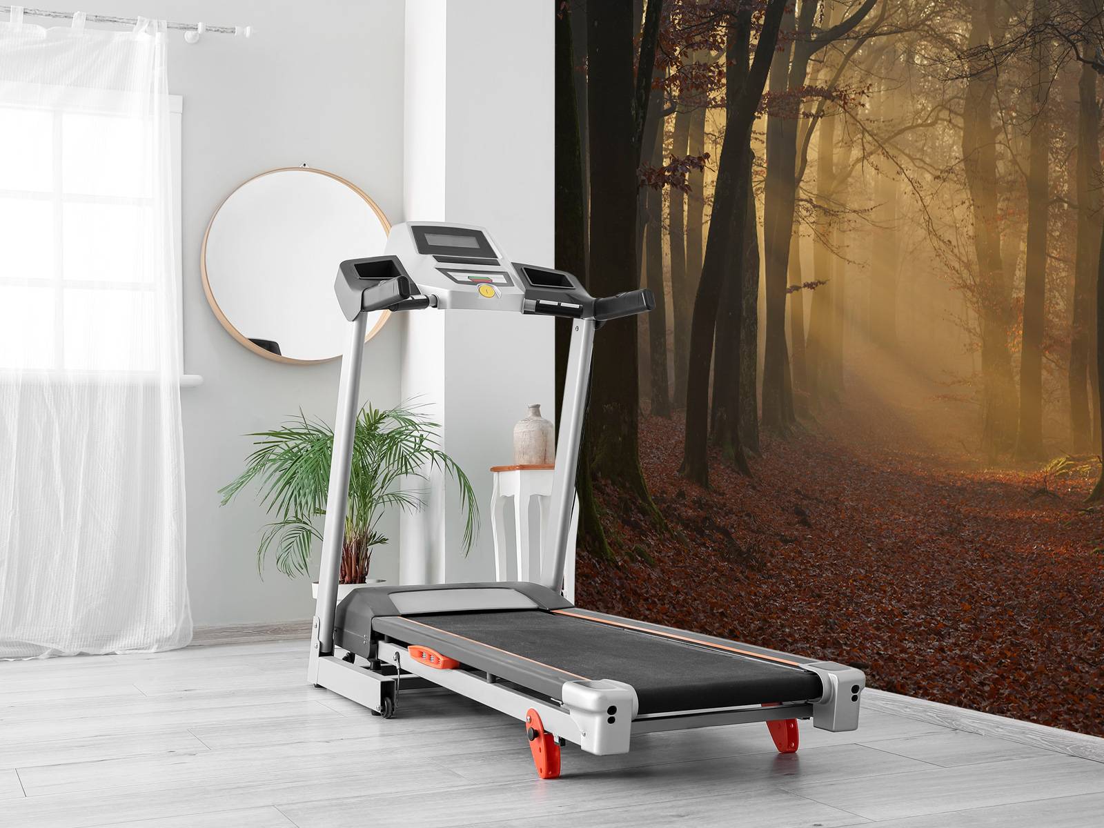 Mystérieuse forêt d'automne