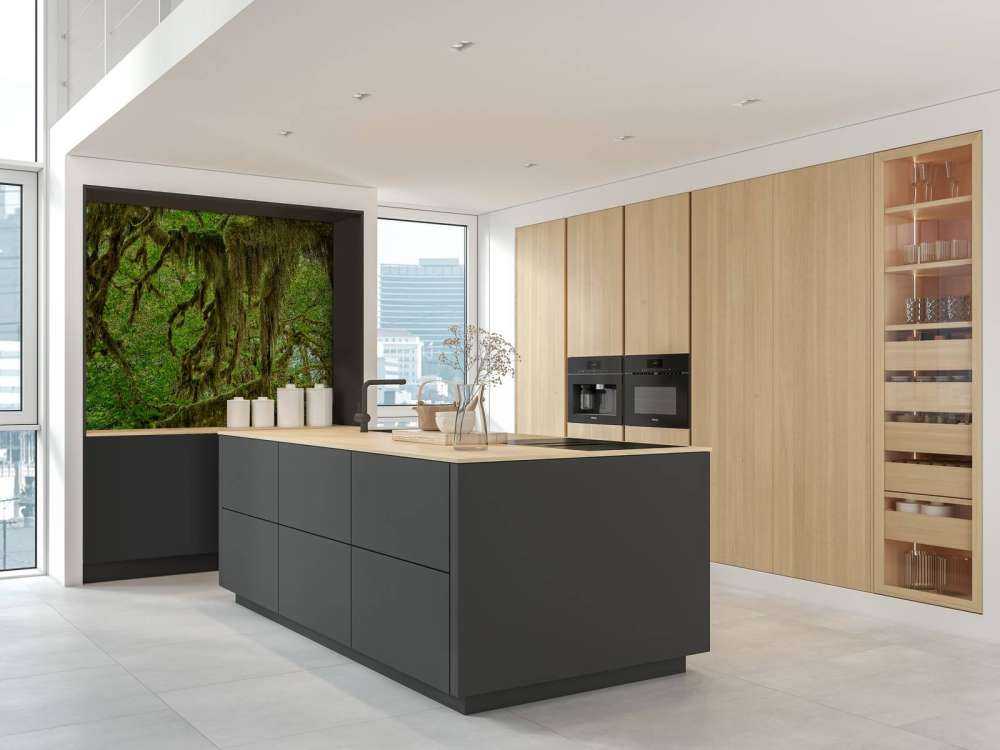 Mousse sur branches d'arbres