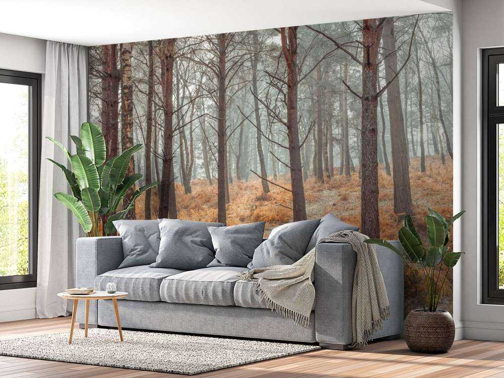 Forêt en automne