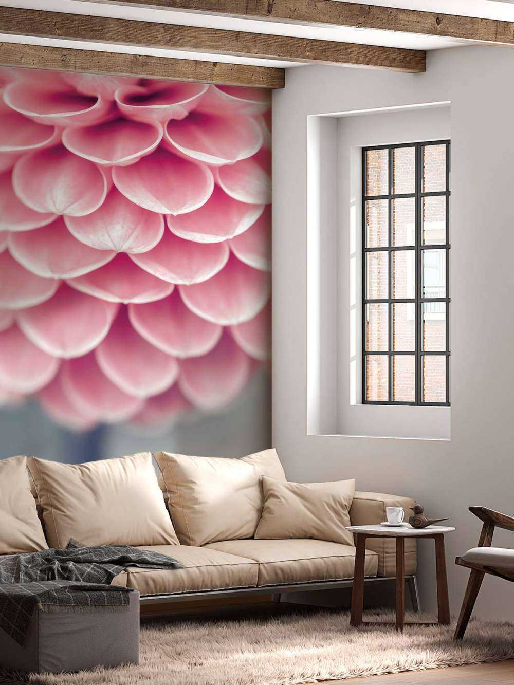 Dahlia en gros plan
