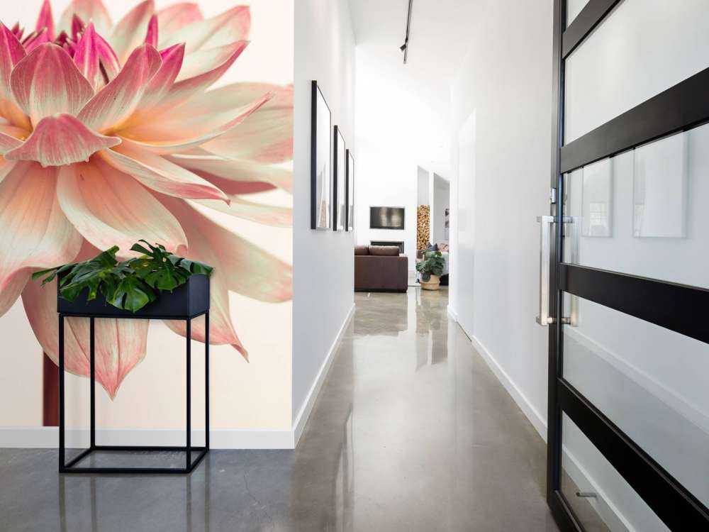 Fleur de dahlia