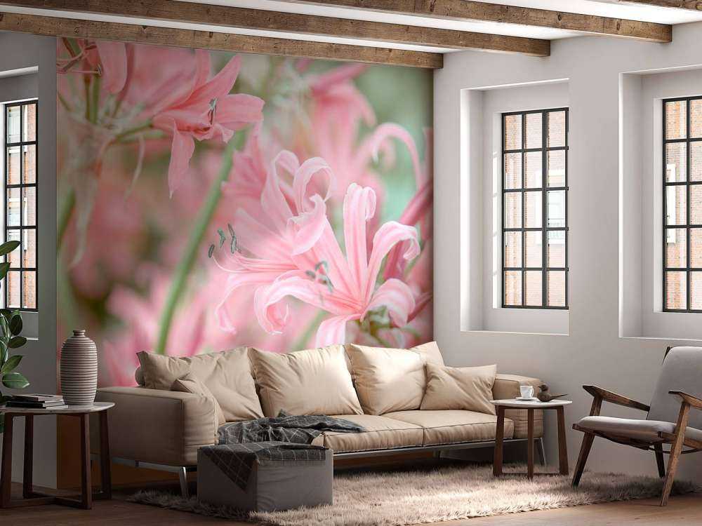 Fleurs de nérinier
