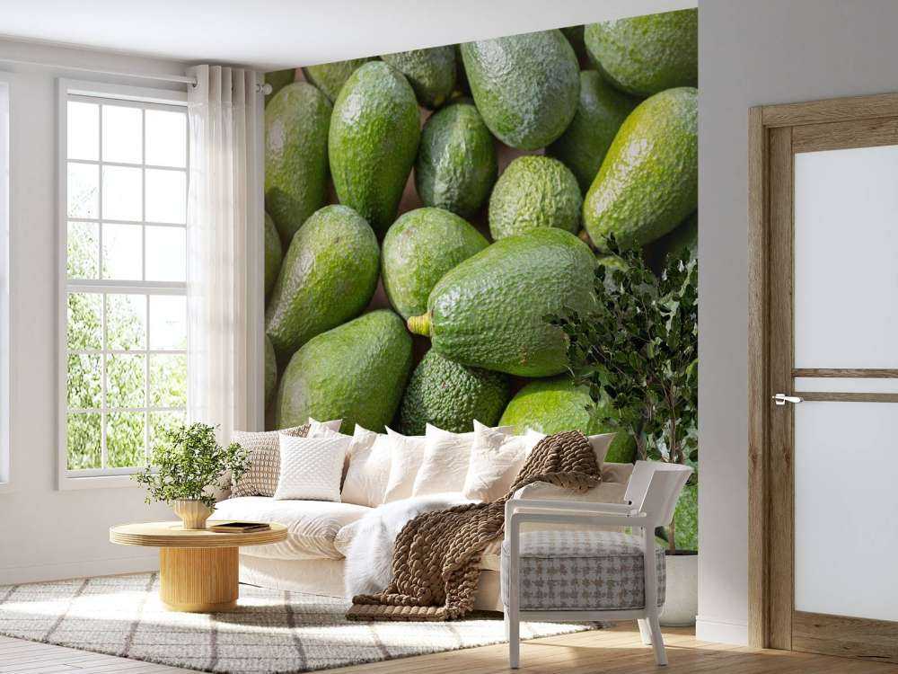 Avocats