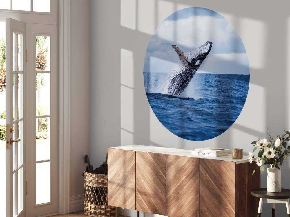 Baleine sauteuse