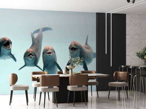 Dauphins rieurs