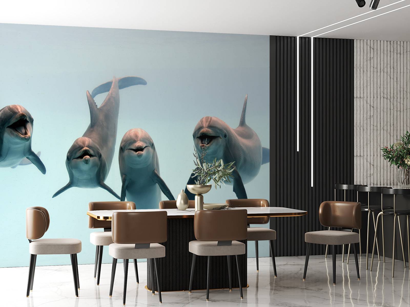 Dauphins rieurs