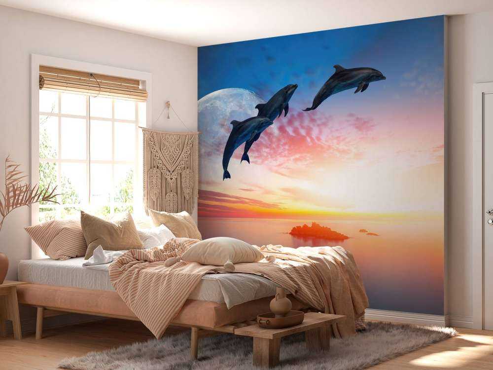 Les dauphins en pleine nuit