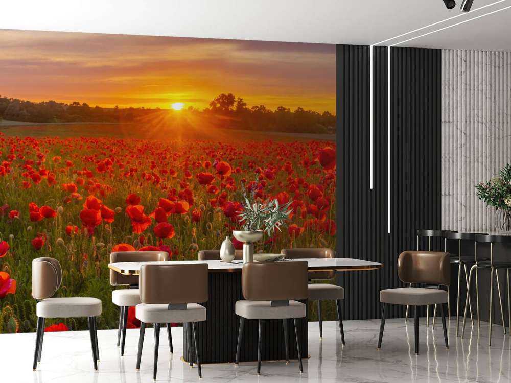 Champ de coquelicots en fleurs