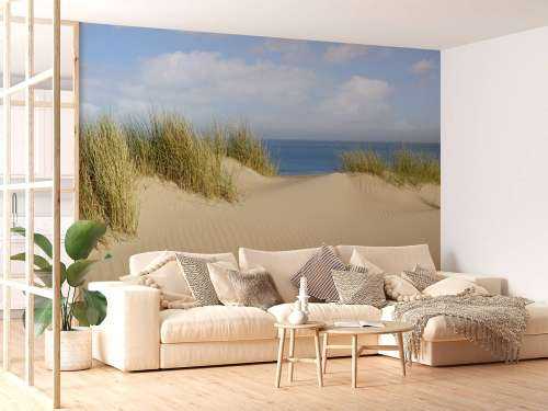 Passage des dunes vers la plage