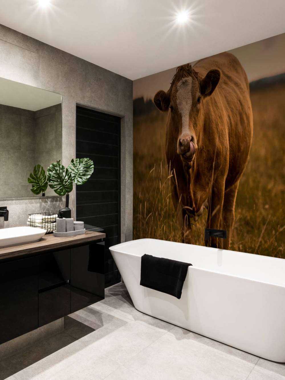 Vache avec la langue dans le nez