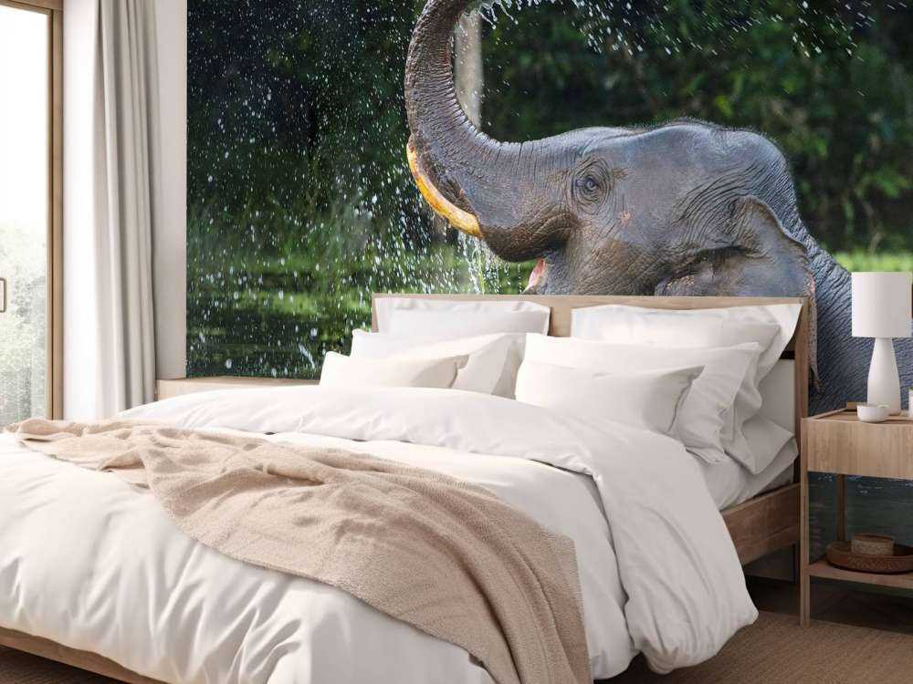 L'éléphant dans l'eau