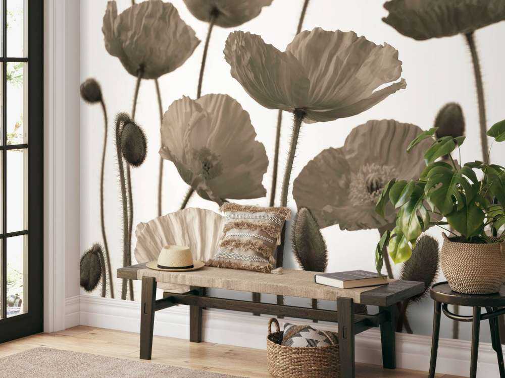 Coquelicots sombres