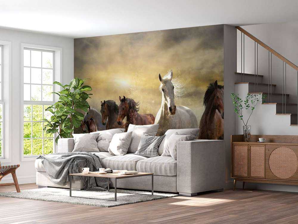 Chevaux au galop au coucher du soleil