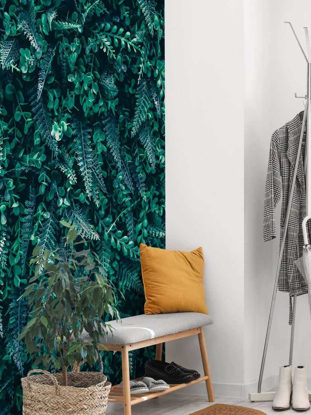 Mur tropical
