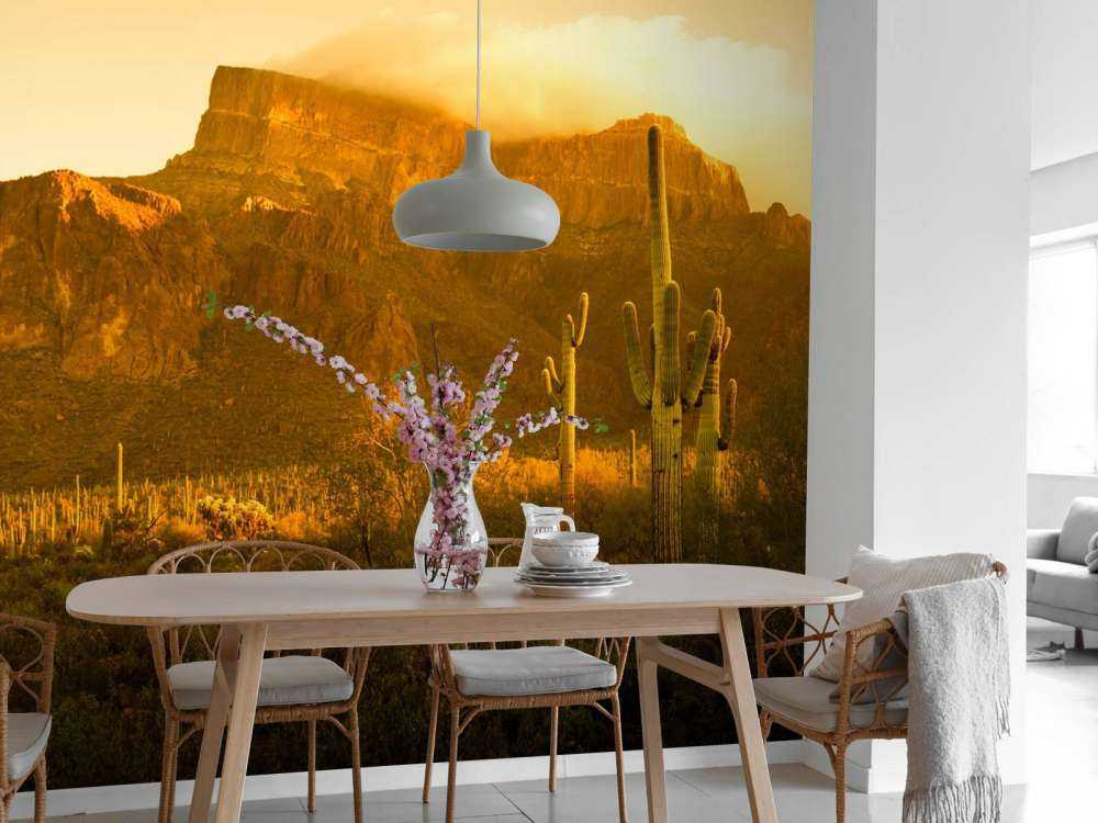 Le désert avec les cactus